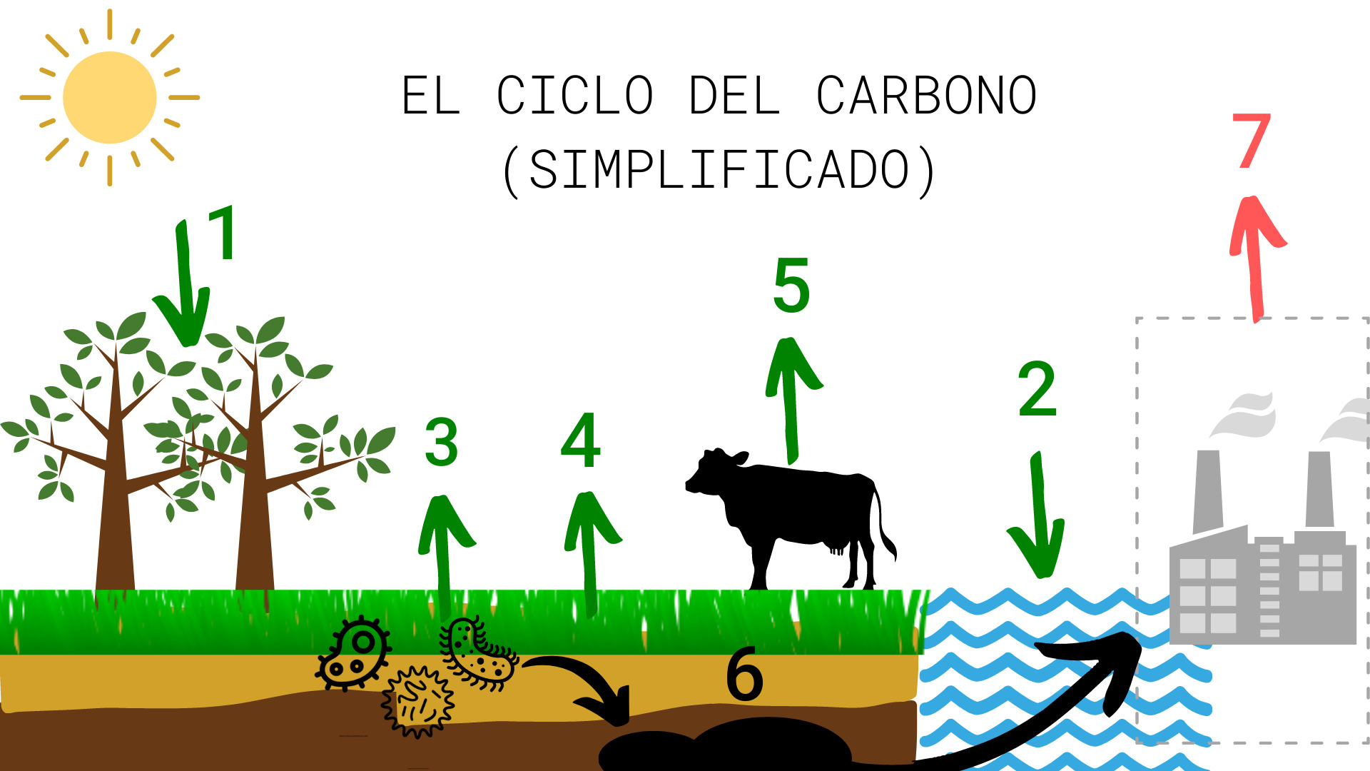 El Dibujo Del Ciclo Del Carbono 🌏 →con Referencias← - Idonella