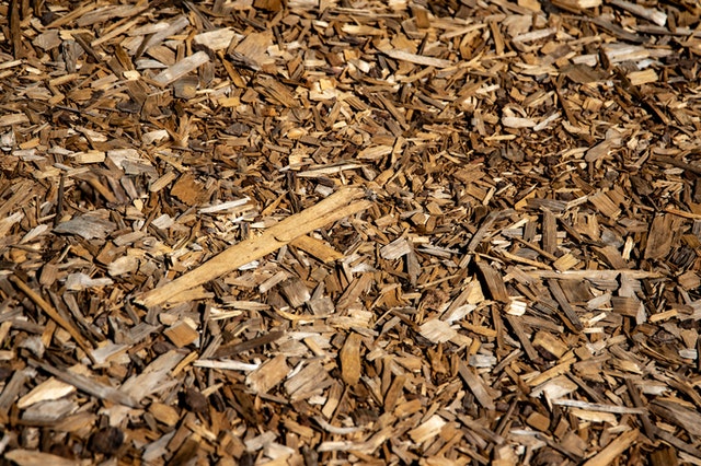 diferencia entre biodegradable y compostable