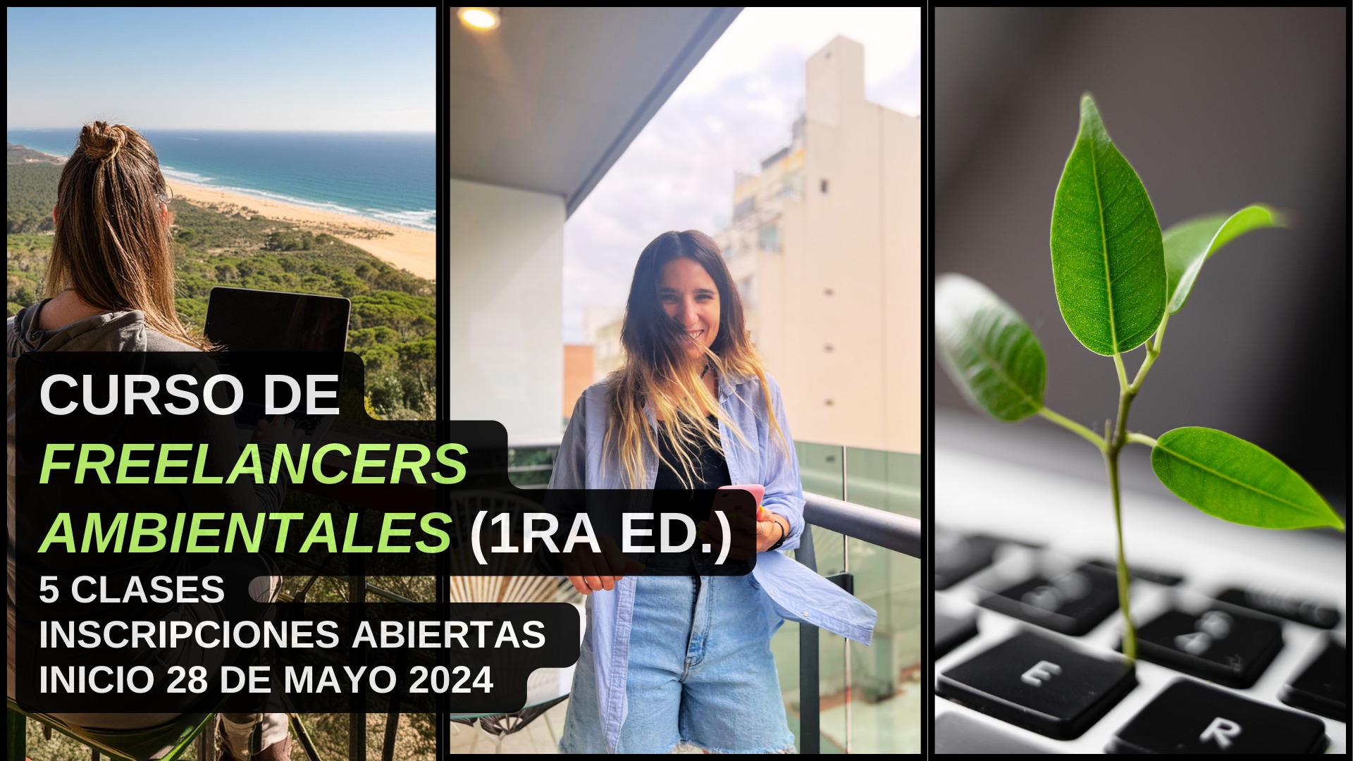 curso para freelancers ambientales